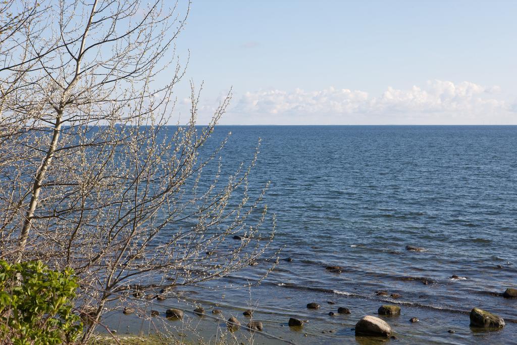 Waldpavillon Βίλα Φέμαρν Εξωτερικό φωτογραφία
